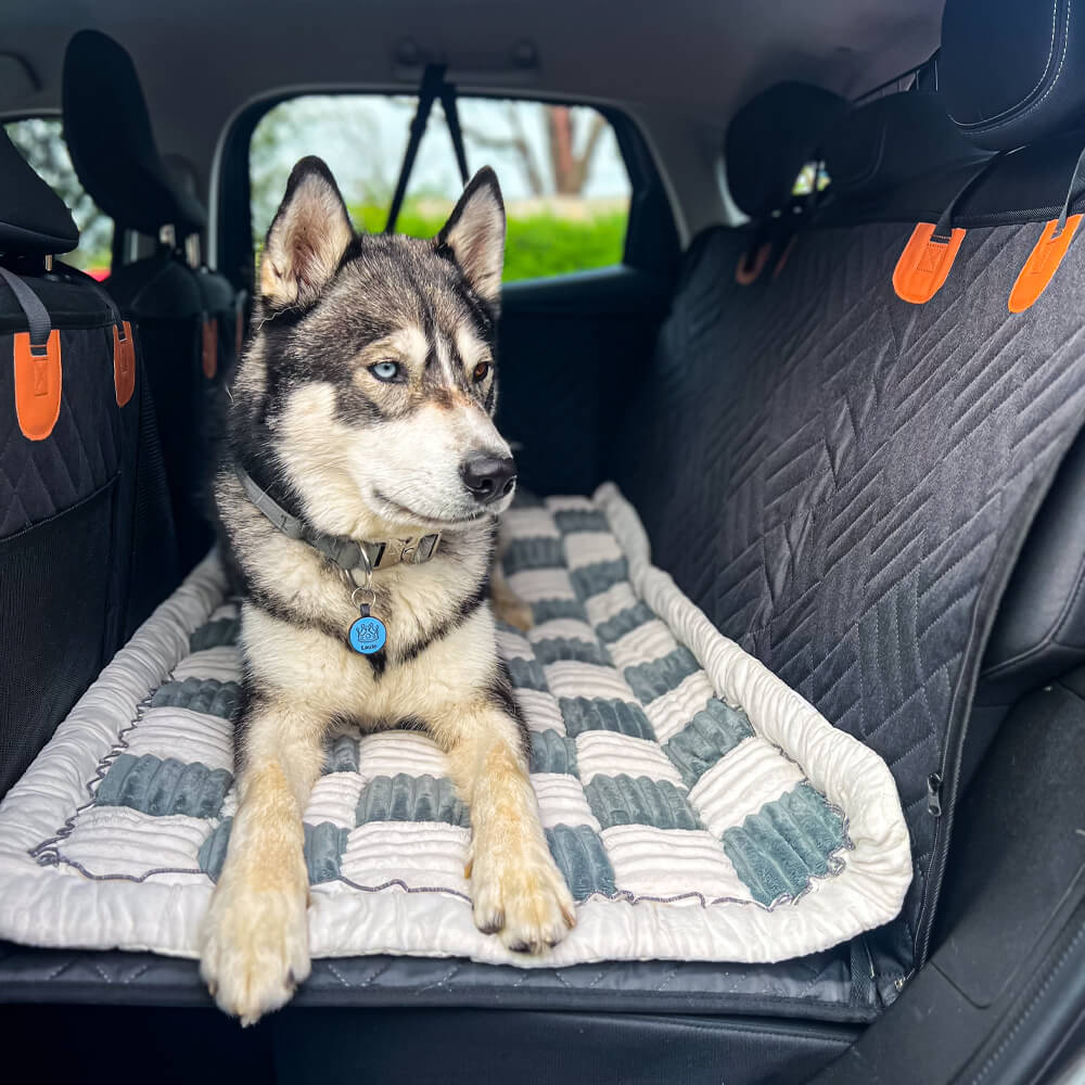Husky dog resting on gray plaid car bed mat in SUV